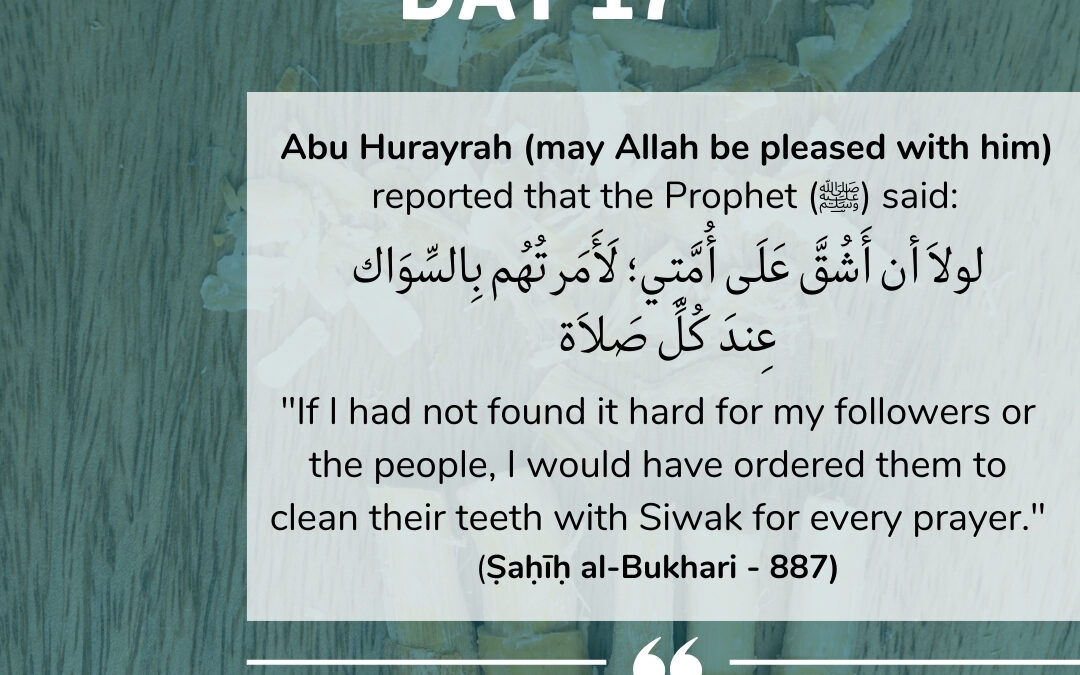 Day 17: Use of Siwak/Miswak (Chewing Stick)